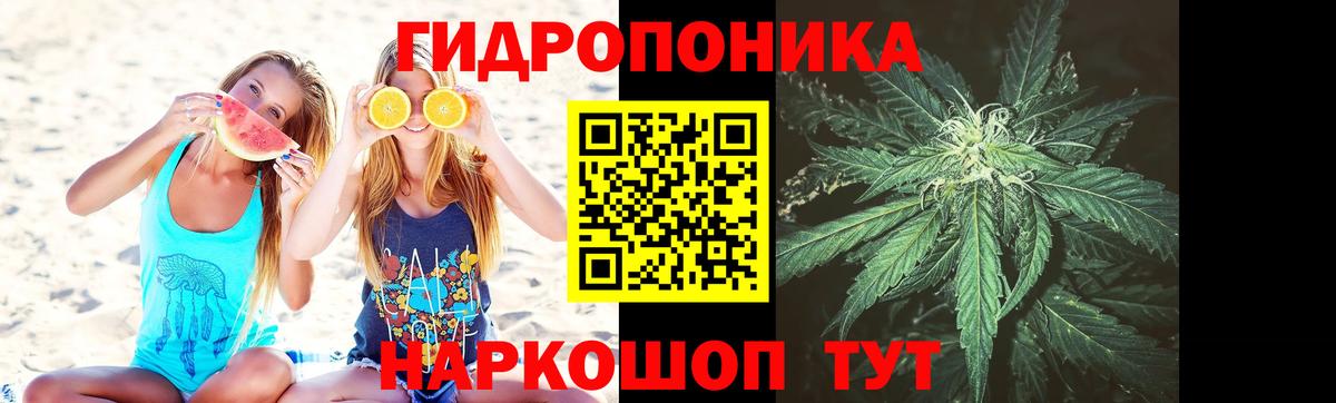 Бошки Шишки VHQ  Марихуана тримм  Вход с VPN  Минусинск  Конопля сатива 